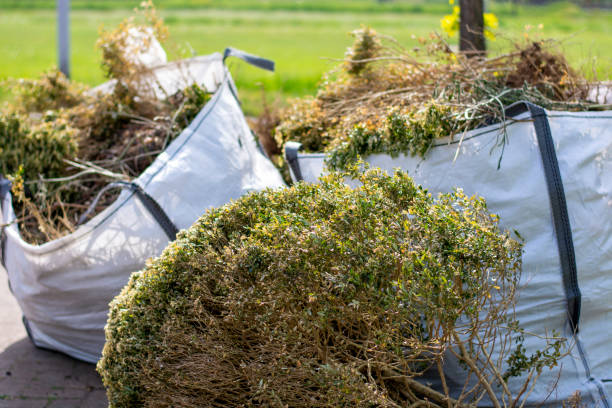 Best Shed Removal  in David City, NE